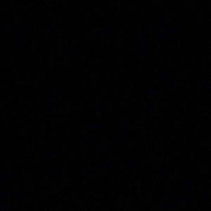 Meet your Posher, Hayley